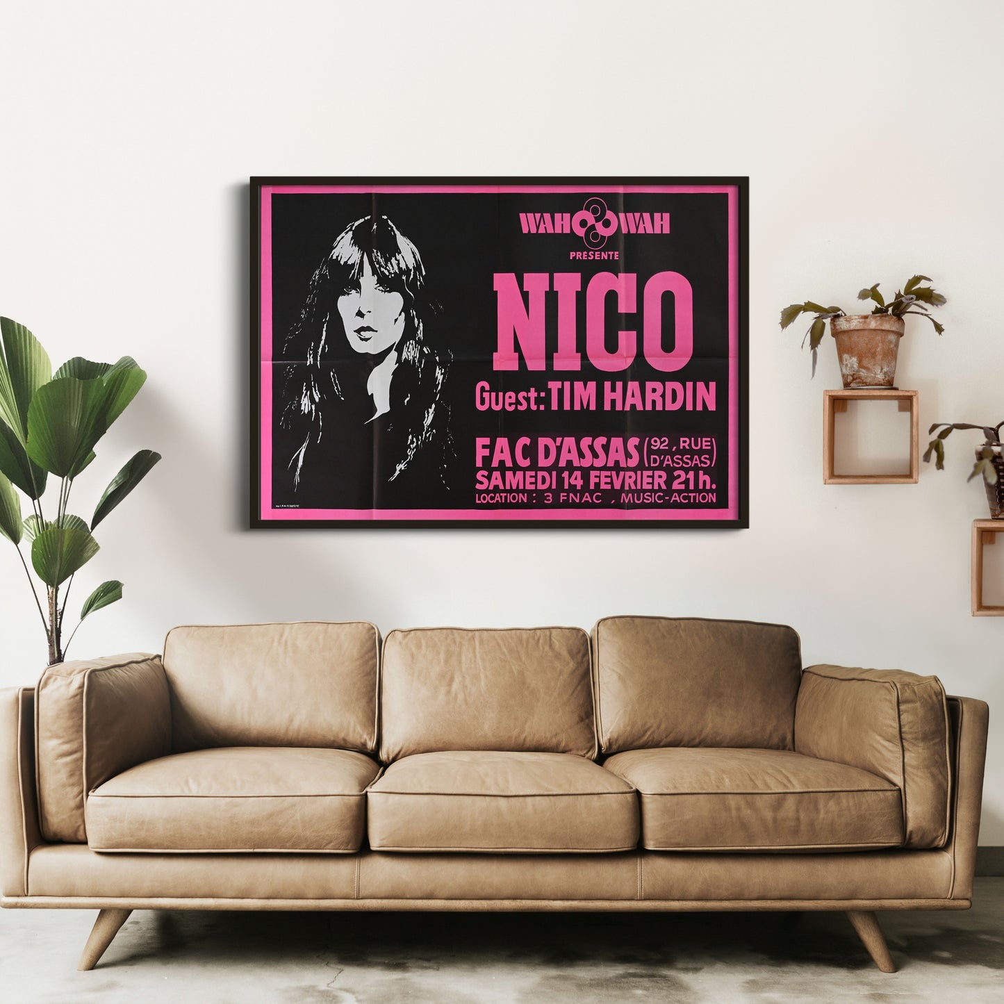 Nico - Fac d'Assas - 1976