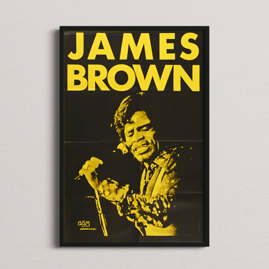 James Brown - Zénith - 1987